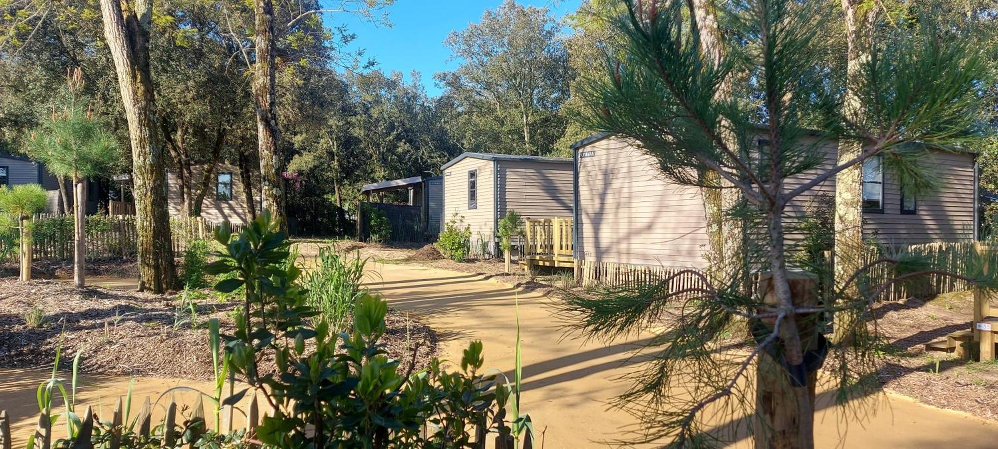 Camping Le Bois Verdon サン・ジャン·ド・モン エクステリア 写真